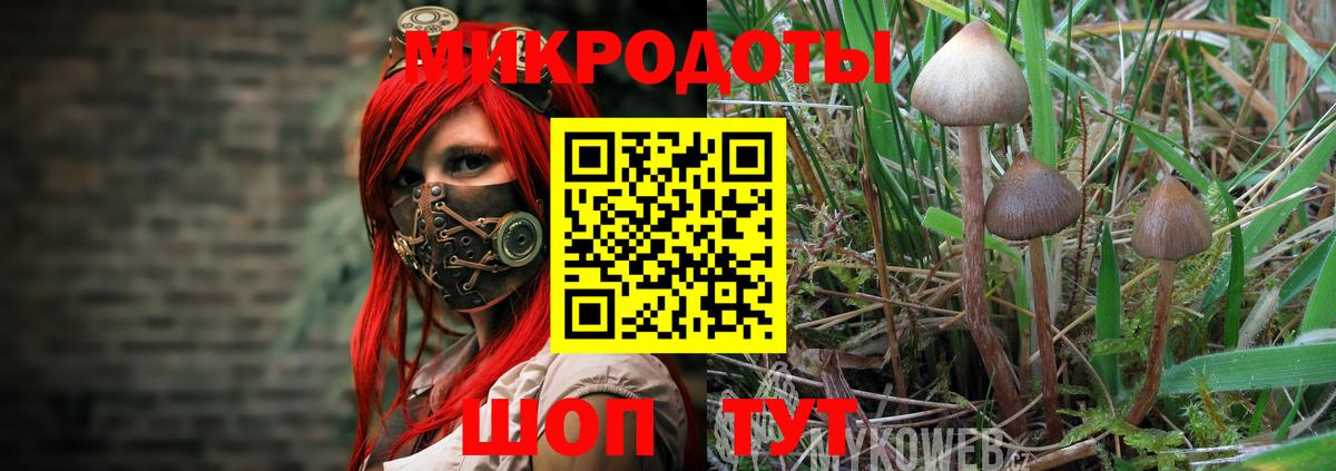 Галлюциногенные грибы прущие грибы  Галлюциногенные грибы мухоморы  Вход с VPN  Хасавюрт 